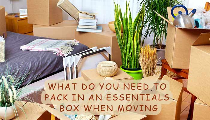 What Do You Need to Pack in an Essentials Box When Moving - The