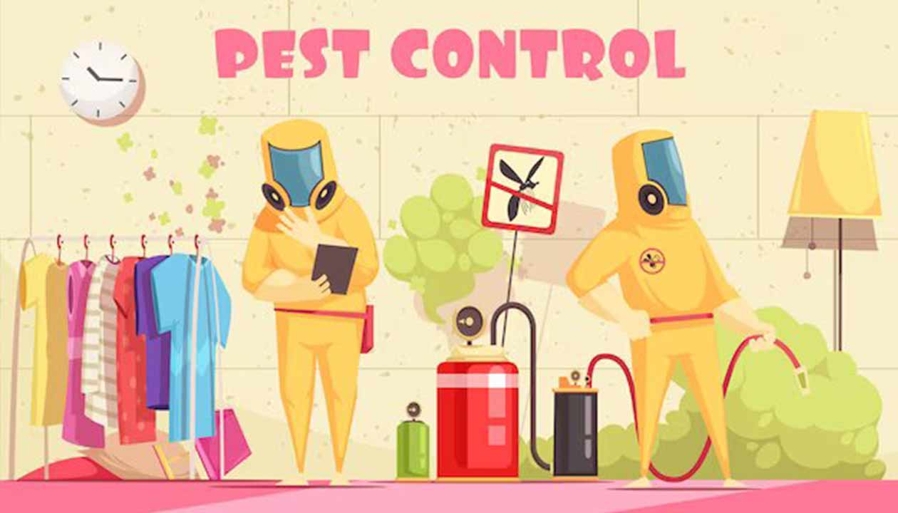 DIY pest control Vs professional pest control: which is better?