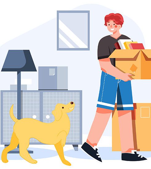 step-by-step-guide-to-moving-with-your-pet