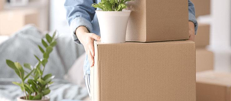 Trinity Worldwide Packers & Movers